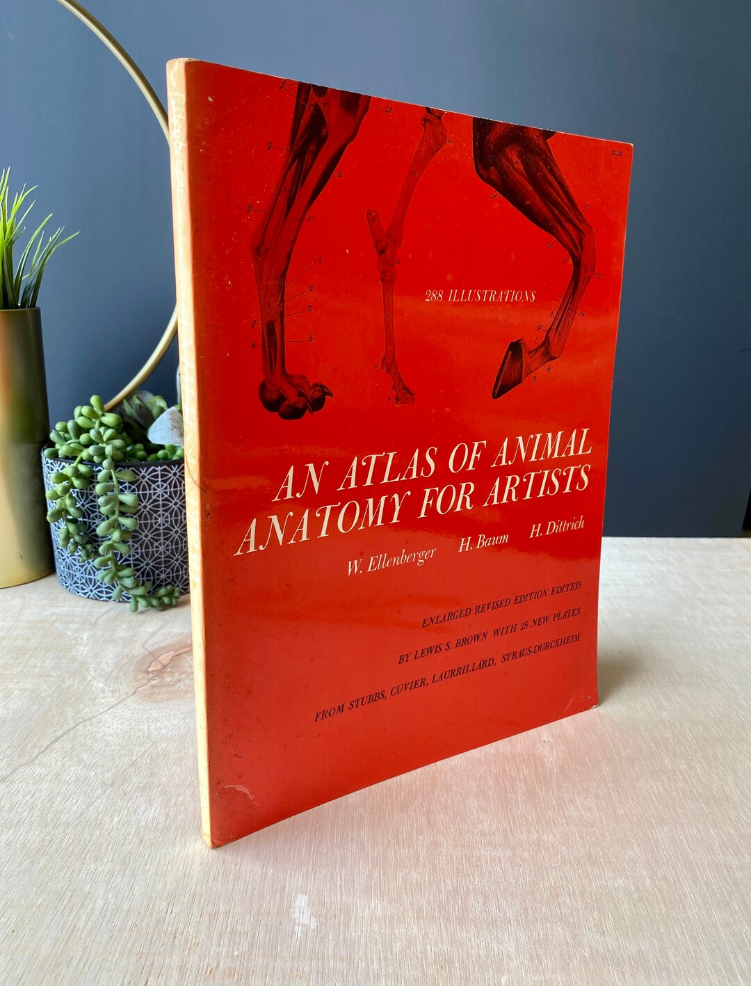 Vintage Animal Anatomy Book an Atlas of Animal Anatomy for Etsy