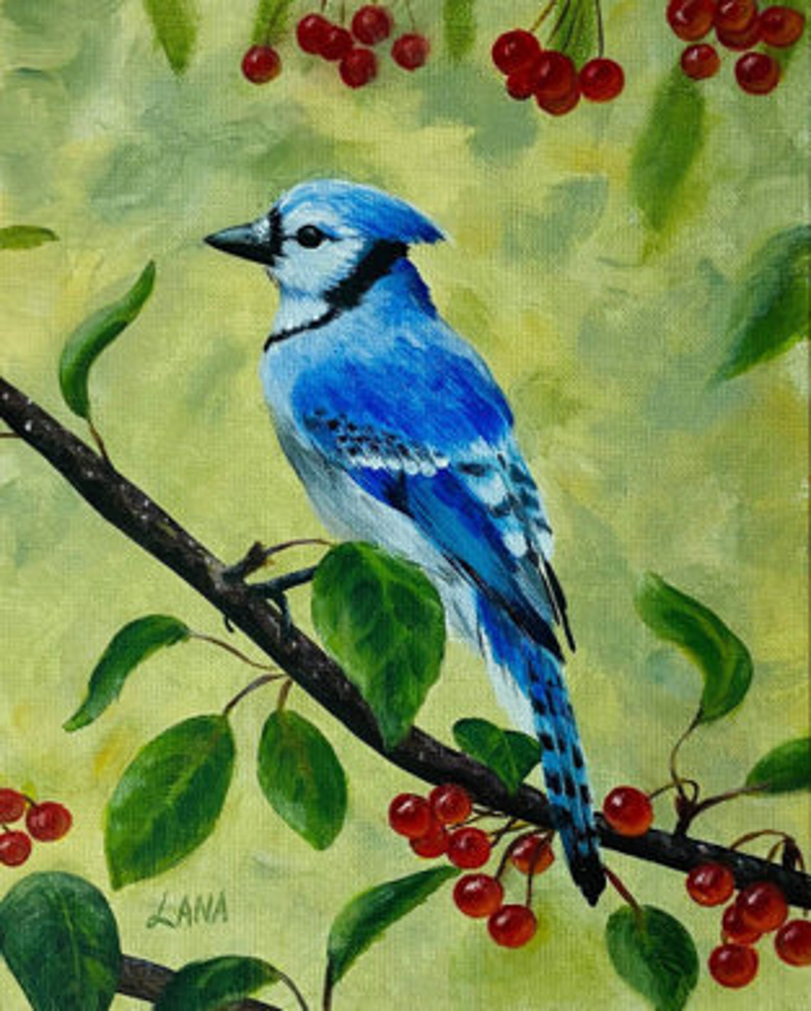 Blue Jay Original Acrylic Painting 8x10 Etsy