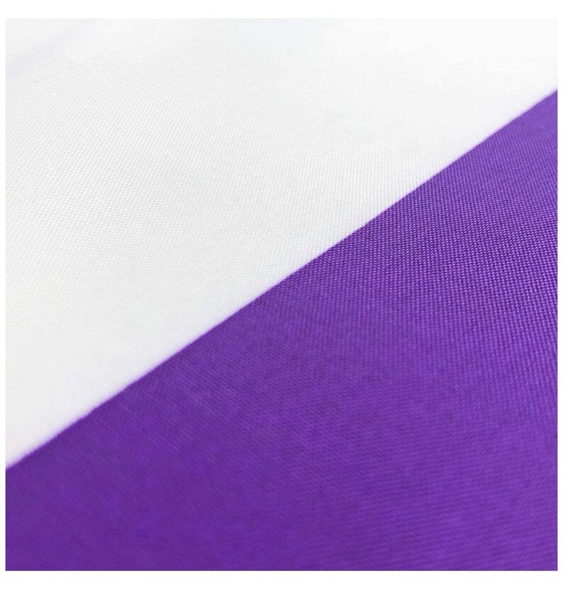 Asexual Pride Flag 3 x 5 Black Gray White Purple Ace | Etsy