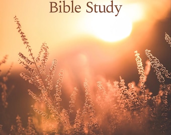 Children of the Day Bible Study