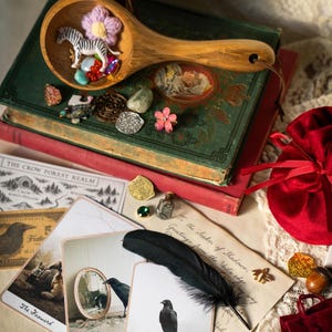Ren Faire Accessories / Crow Confetti Mystery Scoop Crowcore Trinkets Lucky dip i spy Mini Knick Knacks Witch Confetti Goblin Core Treasure