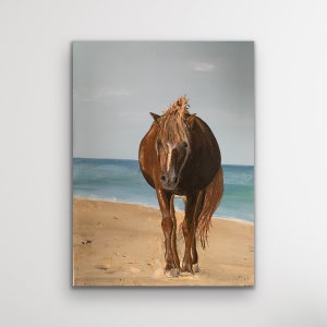 fine art paper print from my original painting of Wild pregnant mare on the beach Corolla NC