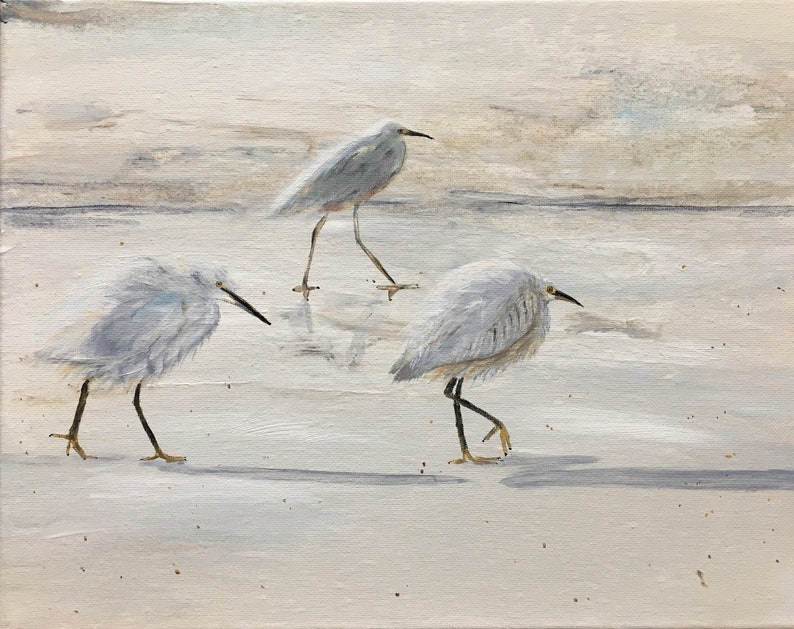 Bird Print Fine Art Print Animal Print Seabirds Beach Etsy