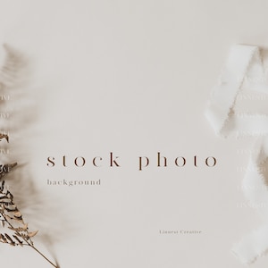 Background stock photography, Minimal boho stock image, Elegant wedding stock photo, Beige neutral tones dried flowers ribbon background 023