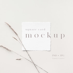 5x5" biglietto quadrato mockup, Deckle edge card mockup, Invito mockup, Carta bianca vuota minimalista, mockup di cancelleria di nozze, carta bordo strappata