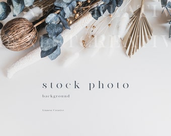 Background stock photography, Wedding stock photo, Minimal modern stock image, Beige neutral tones, Dried flowers eucalyptus background 05