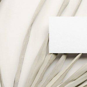 May include: A white blank card mockup on a background of dried palm leaves. The card is positioned in the centre of the image, with the leaves radiating out from it.
