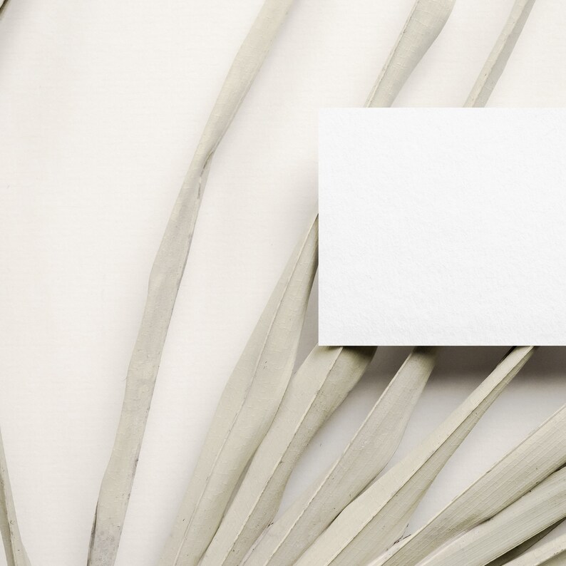 May include: A white blank card mockup on a background of dried palm leaves. The card is positioned in the centre of the image, with the leaves radiating out from it.