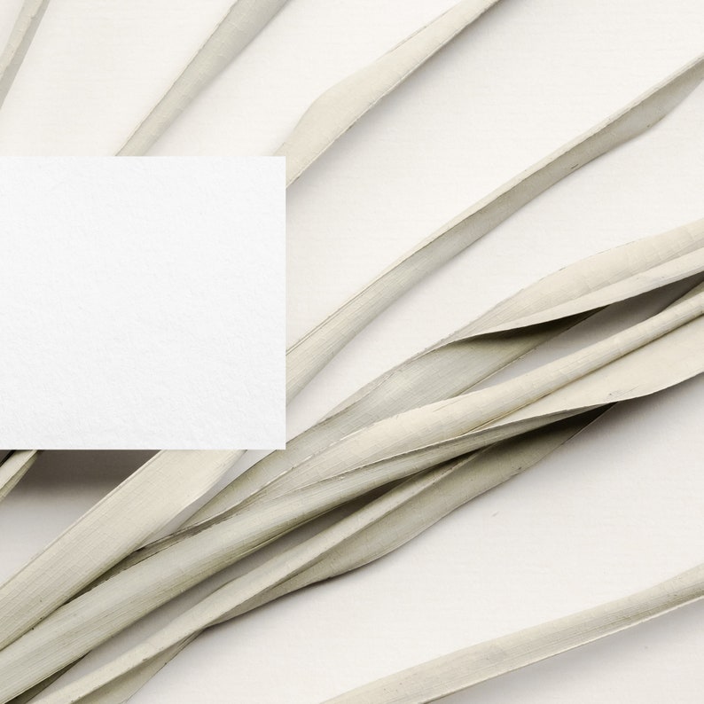May include: A blank white card sits on top of a pile of dried, light beige palm leaves.