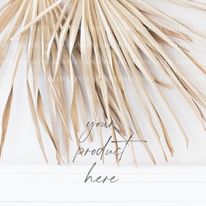 May include: A dried palm leaf fan against a white background with the text "your product here" written in black.