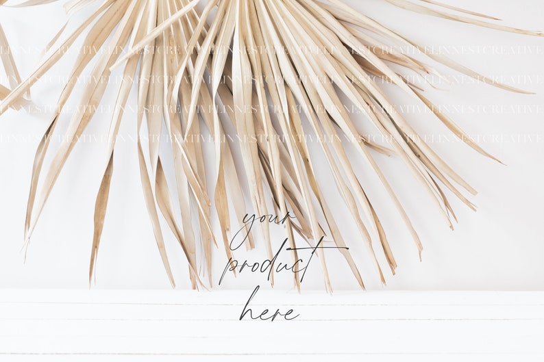 May include: A dried palm leaf fan against a white background with the text "your product here" written in black.