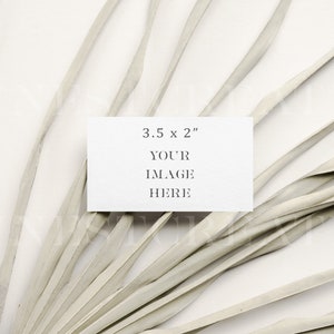May include: A white card with the text "3.5 x 2" and "YOUR IMAGE HERE" on a white background with a dried palm leaf fanning out.