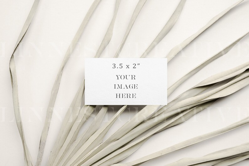 May include: A white card with the text "3.5 x 2" and "YOUR IMAGE HERE" on a white background with a dried palm leaf fanning out.
