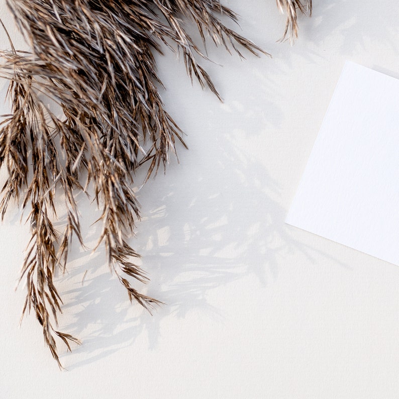 Download Square gift tag mockup Favor tag mockup Minimalist label ...