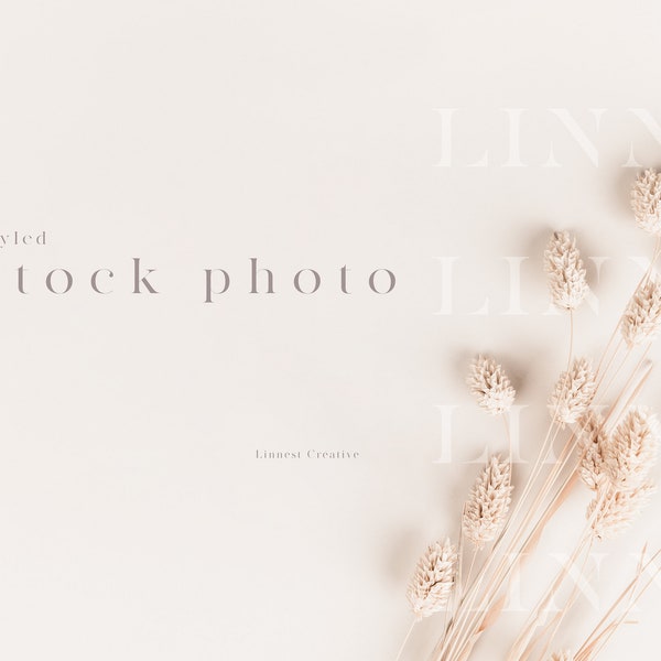 Stock photo background, Modern stock photography, Minimal stock image, Beige nude neutral tones, Wedding stock photo,Dried flower background