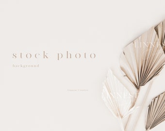 Background stock photography, Wedding stock photo, Minimal modern stock image, Beige neutral tones, Dried flowers palm leaves background