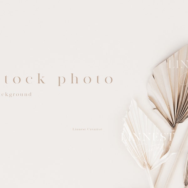 Background stock photography, Wedding stock photo, Minimal modern stock image, Beige neutral tones, Dried flowers palm leaves background