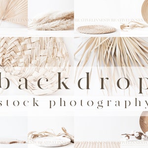 31 Stock photo backgrounds, Backdrop mockup digital image, Product background photo beige neutral tones, Boho dried flower background 034