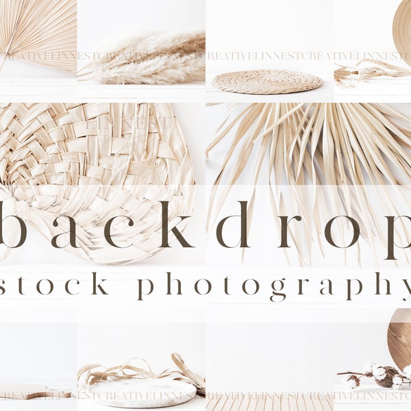 31 Stock Fotohinterhen, Hintergrund Mockup, Digitaler Hintergrund, Produkthintergrund Foto, Beige neutrale Töne, Boho getrocknete Blume Hintergrund