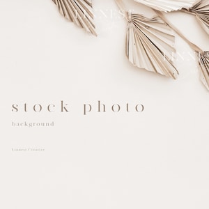 Background stock photography, Minimal modern stock image, Wedding stock photo, Beige neutral tones, Dried flowers palm leaves background