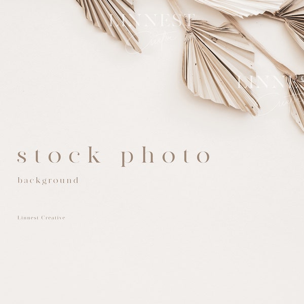 Background stock photography, Minimal modern stock image, Wedding stock photo, Beige neutral tones, Dried flowers palm leaves background