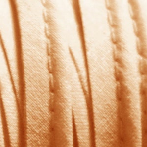 Baumwolle Paspel Paspelband 10mm
Farbe beige