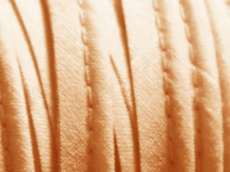 Baumwolle Paspel Paspelband 10mm
Farbe beige