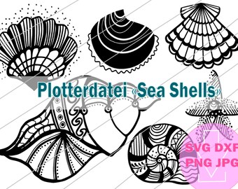 Plotter bestand Maritiem, schelpen SVG DXF PNG download plotter bestand verjaardag, Pasen, baby, plotter bestand gezegden, strijken beeld, home decoratie ideeën