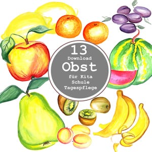 Könnte beinhalten: Eine Sammlung von Aquarell-Obstillustrationen mit einer gelben Birne, einem roten Apfel, Zitrone, Orangen, Pflaumen, Wassermelone, Kiwi und Bananen um einen grauen Kreis mit dem Text 13 Download Obst für Kita Schule Tagespflege.