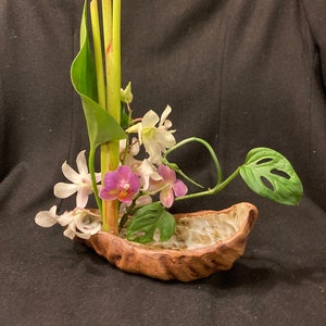 May include: A floral arrangement in a brown ceramic bowl. The arrangement features white and pink orchids, green leaves, and tall yellow stalks.