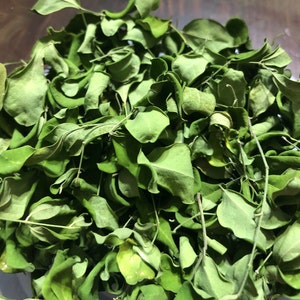 May include: A bowl filled with fresh, green moringa leaves. The leaves are a popular ingredient in many cuisines and are known for their nutritional benefits.