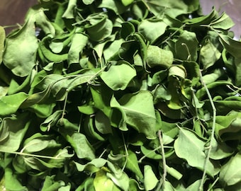 Organic Dried Moringa Leaves / Powder