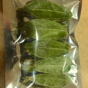 Organic Dried Soursop Leaves from Florida