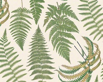 6 Sheets Luxury Italian Decorative Paper Wrapping Paper Craft Paper : Eco Bosco Gift Wrap