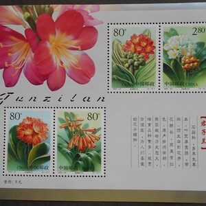 China 2000 Clivia Flower M/S MNH