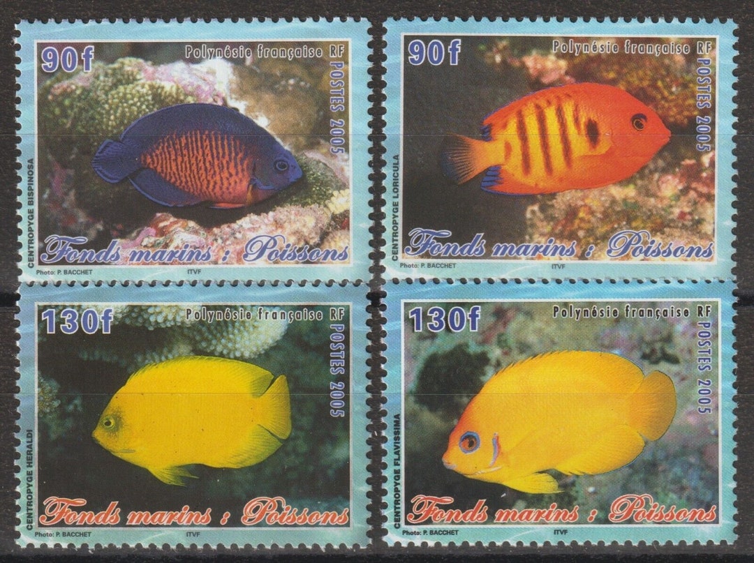 Polynesia Fish Types French Polynesia 2005 Marine Life Fish Set of 4 MNH - Etsy