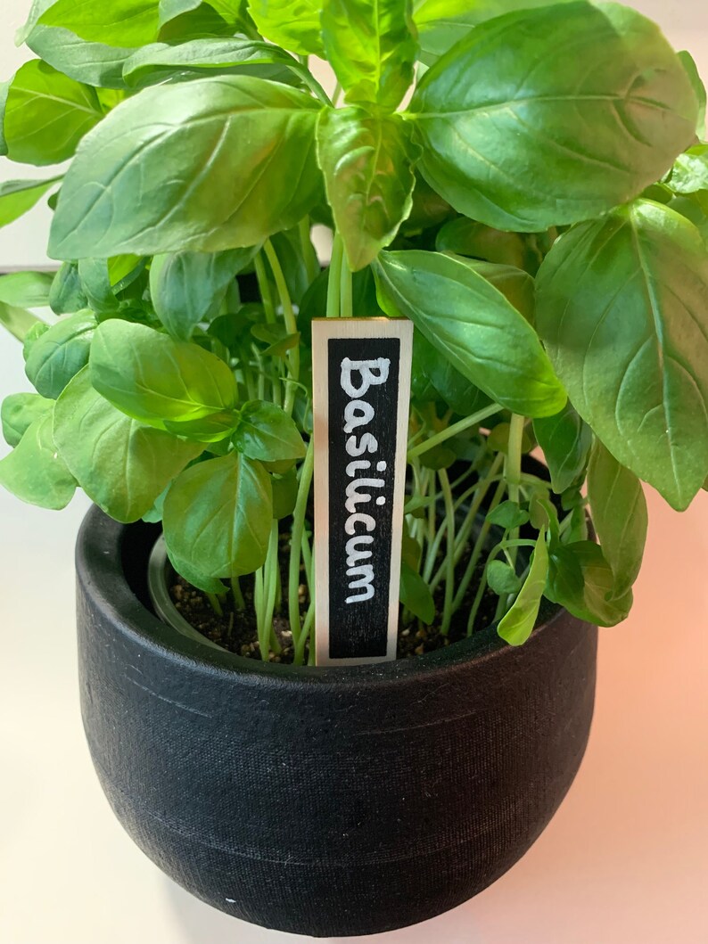 Étiquettes de nom de plante SET de 10 , marqueurs de semis, bâtons détiquettes dherbes, étiquettes de jardinage, étiquettes de plantes personnalisées Étiquettes de plantes Microgreens image 1