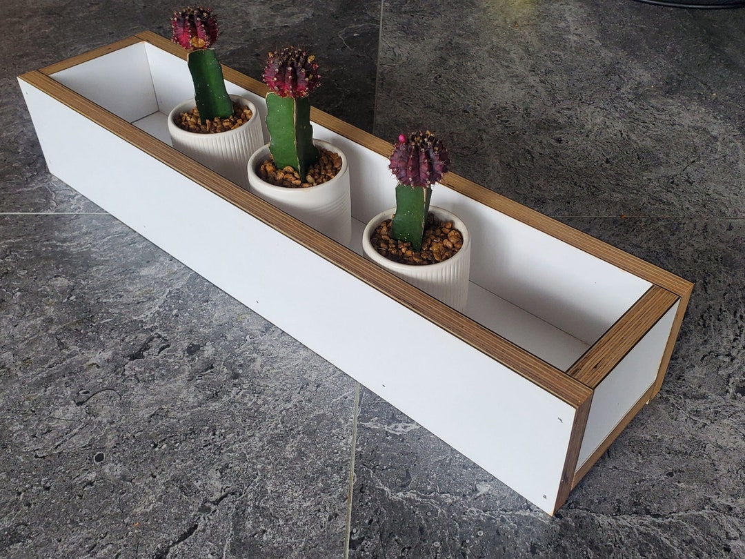 Planter Box White Birch Plywood, Kitchen Herb Garden, Decor Succulent