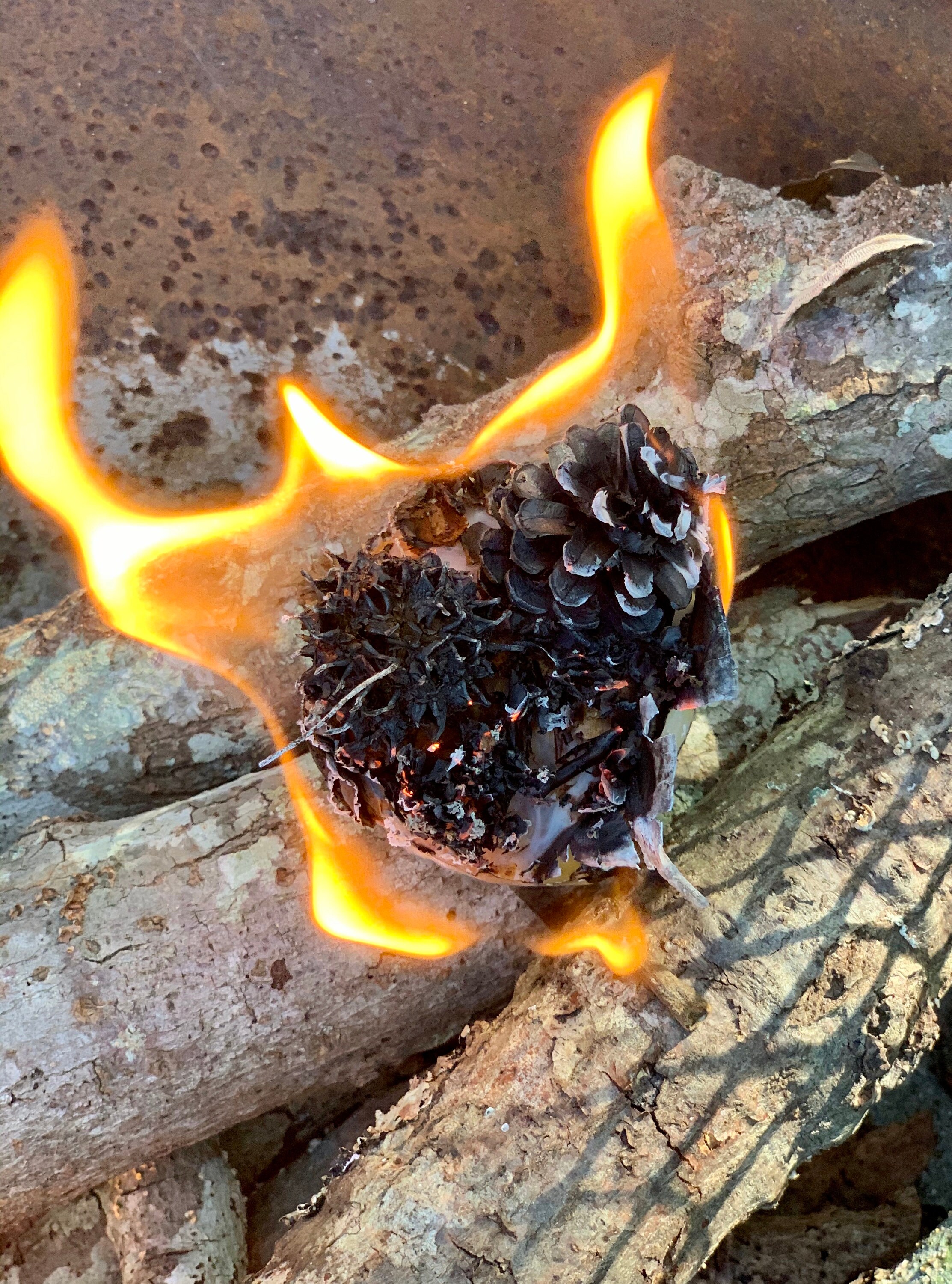 FIRE STARTERS Campfire starter wax fire starter gift for Etsy