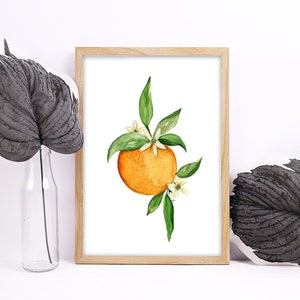 Orange Blossom Watercolor Print | Orange Blossom Watercolor Sketch, Hand painted artwork, Florida Painting