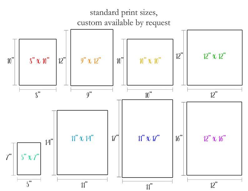 May include: A chart showing standard print sizes in inches for custom prints. The sizes range from 5x7 inches to 12x16 inches.