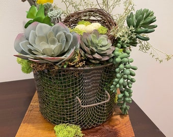 Rustic Succulent and Bird Nest Arrangement