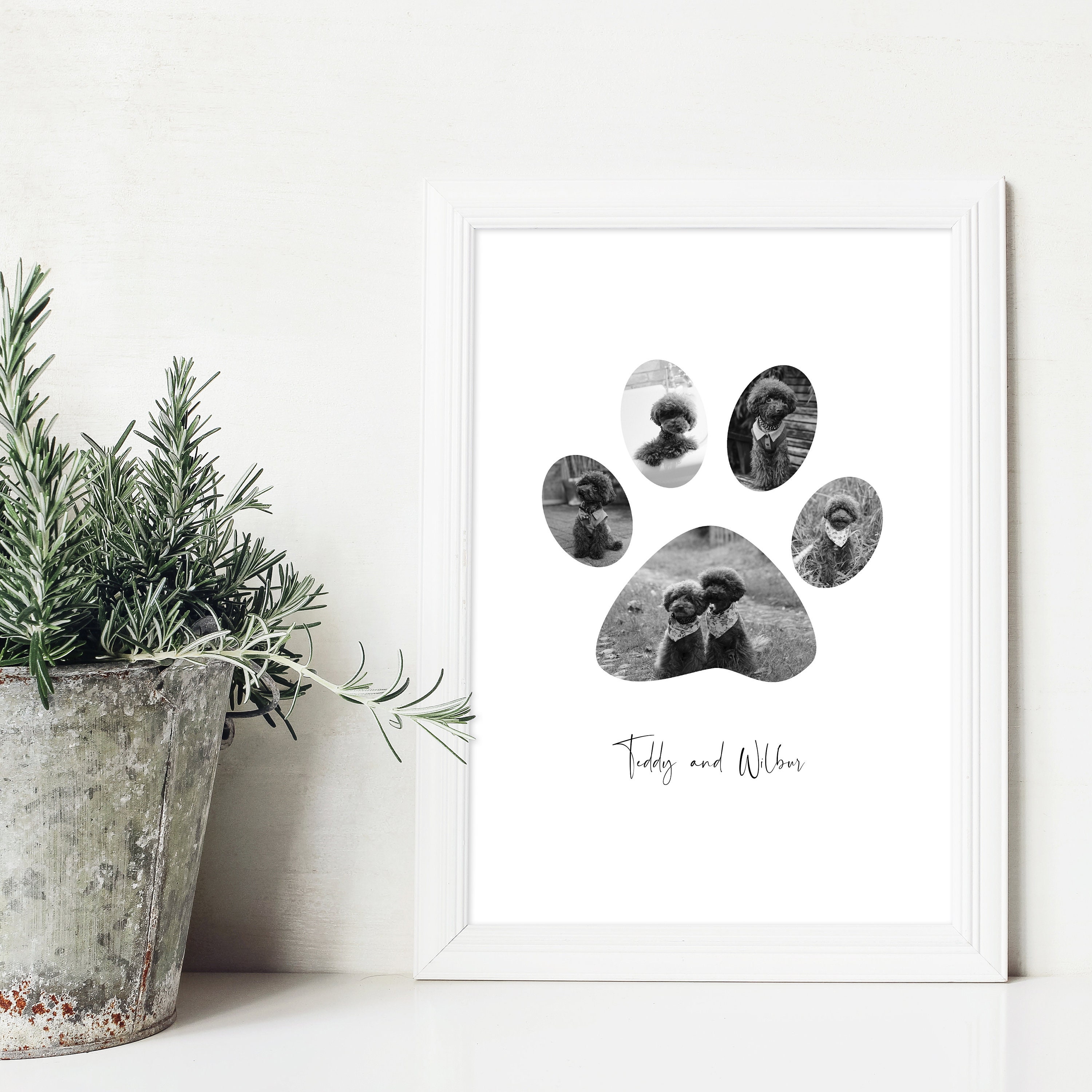 Personalised Black & White Pet Paw Photo Collage Print - Custom Paw ...