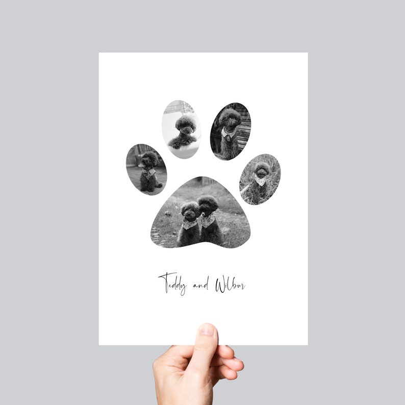 Personalised Black & White Pet Paw Photo Collage Print - Etsy