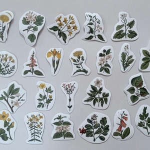 Plants Sticker, Assorted Scrapbooking Stickers