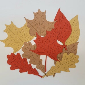 Feuilles d'automne, papier cartonné