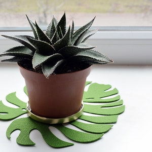 Large Coasters Set of 6 Monstera's leaves, Tropical decor, Botanical decor, Felt, Housewarming Gift image 4