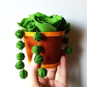 May include: A felt succulent plant in a brown pot with a yellow rim. The plant has green leaves and a trailing vine of green felt balls.