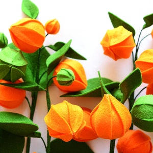 Physalis, 7 twigs, Gooseberry, Groundcherries, Greenery, Felt Flowers, Handmade Felt Flower, Felt kit, Orange bouquet image 9