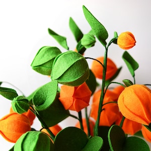 Physalis, 7 twigs, Gooseberry, Groundcherries, Greenery, Felt Flowers, Handmade Felt Flower, Felt kit, Orange bouquet image 5